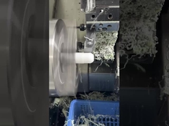 Mecanizado por CNC OEM personalizado Delrin POM PTFE de nylon 0.01-0.02mm